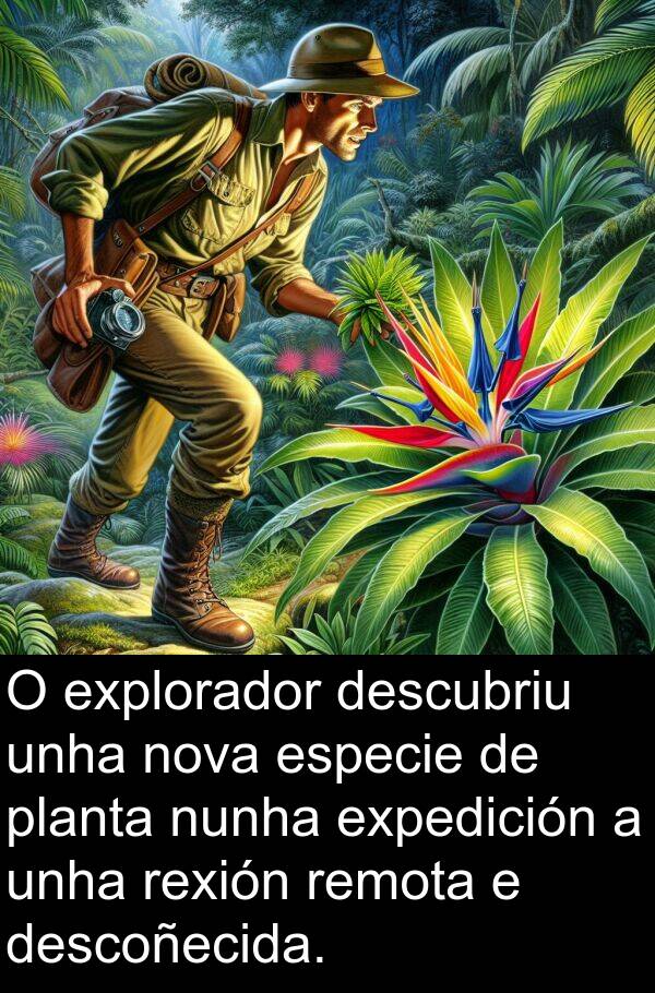 explorador: O explorador descubriu unha nova especie de planta nunha expedición a unha rexión remota e descoñecida.