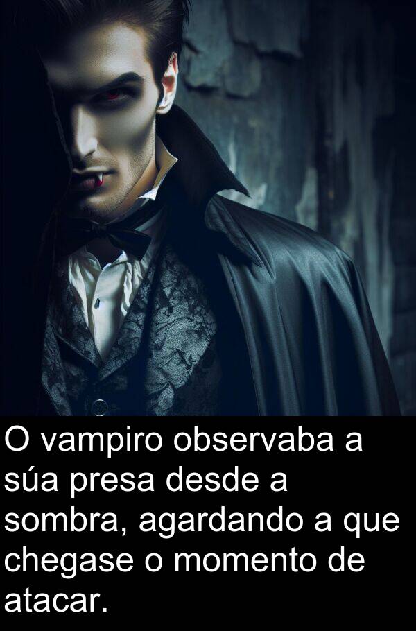 momento: O vampiro observaba a súa presa desde a sombra, agardando a que chegase o momento de atacar.