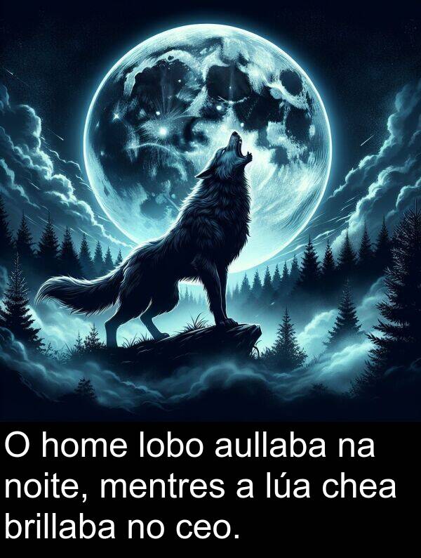 brillaba: O home lobo aullaba na noite, mentres a lúa chea brillaba no ceo.