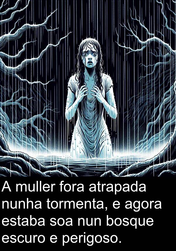 fora: A muller fora atrapada nunha tormenta, e agora estaba soa nun bosque escuro e perigoso.