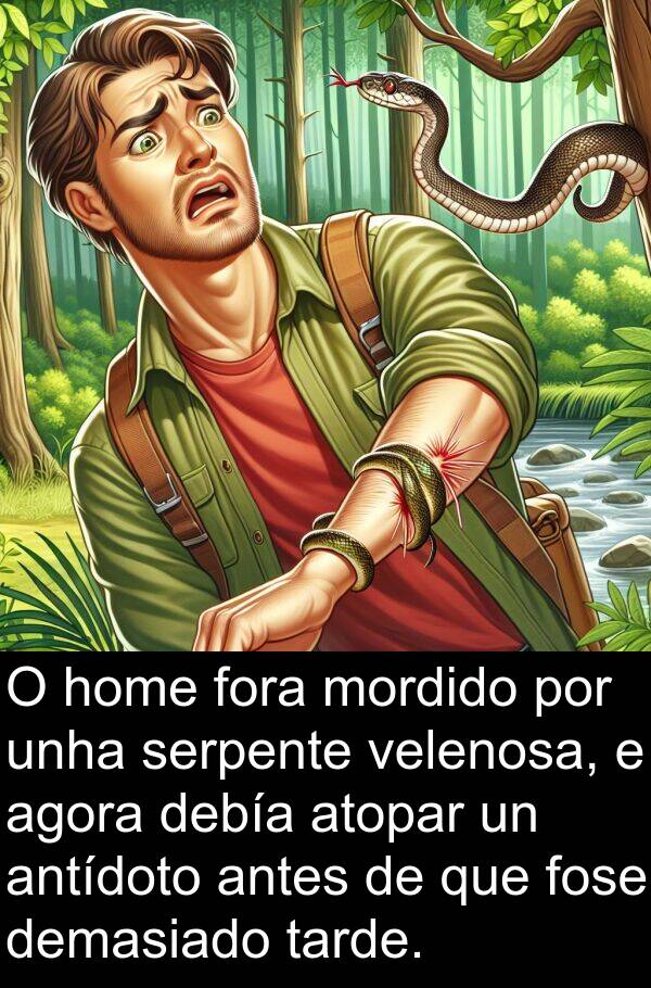 serpente: O home fora mordido por unha serpente velenosa, e agora debía atopar un antídoto antes de que fose demasiado tarde.