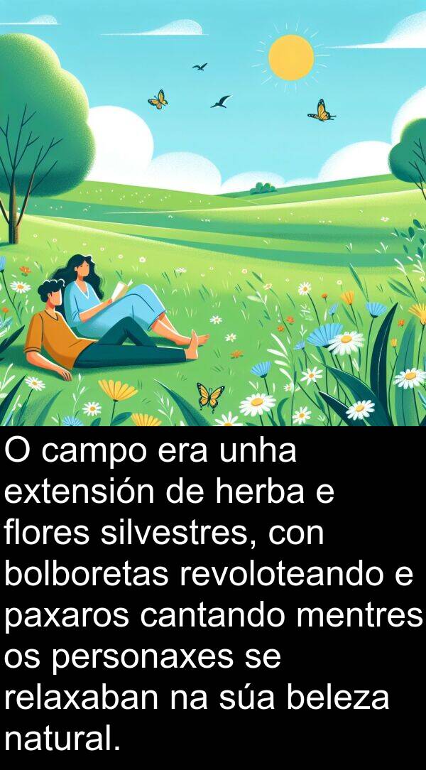relaxaban: O campo era unha extensión de herba e flores silvestres, con bolboretas revoloteando e paxaros cantando mentres os personaxes se relaxaban na súa beleza natural.