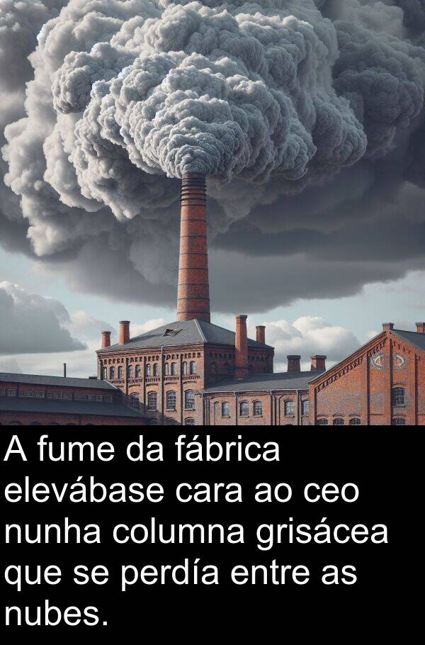 fume: A fume da fábrica elevábase cara ao ceo nunha columna grisácea que se perdía entre as nubes.