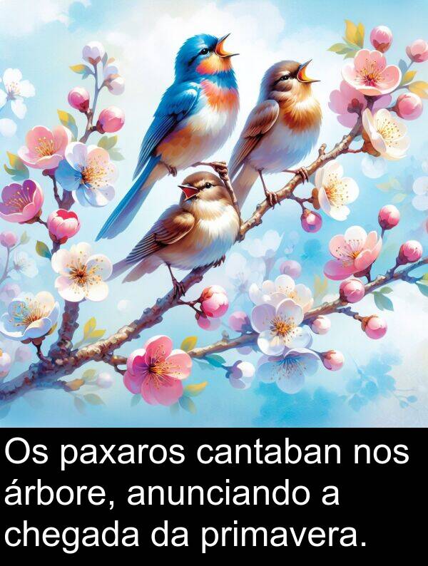 paxaros: Os paxaros cantaban nos árbore, anunciando a chegada da primavera.