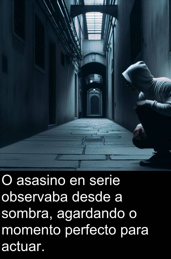 perfecto: O asasino en serie observaba desde a sombra, agardando o momento perfecto para actuar.