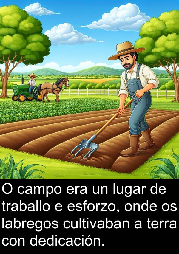 terra: O campo era un lugar de traballo e esforzo, onde os labregos cultivaban a terra con dedicación.