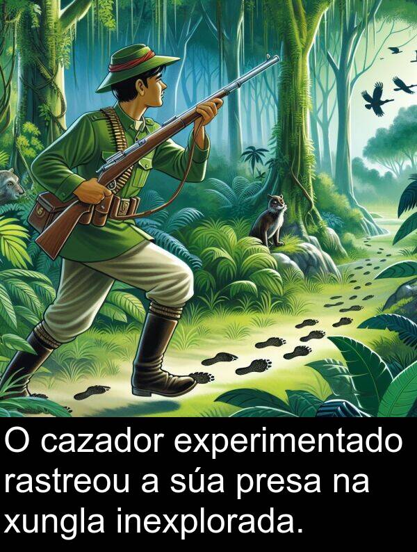 rastreou: O cazador experimentado rastreou a súa presa na xungla inexplorada.