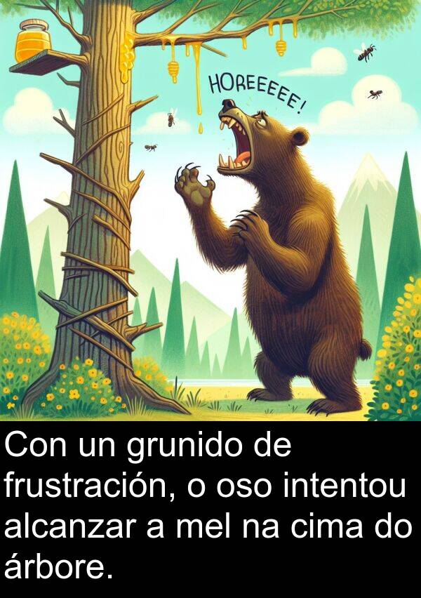 frustración: Con un grunido de frustración, o oso intentou alcanzar a mel na cima do árbore.