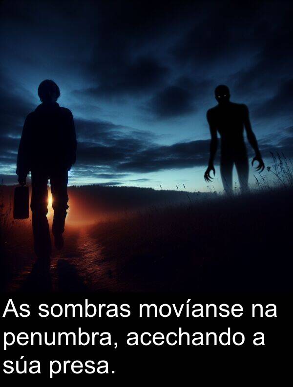 sombras: As sombras movíanse na penumbra, acechando a súa presa.