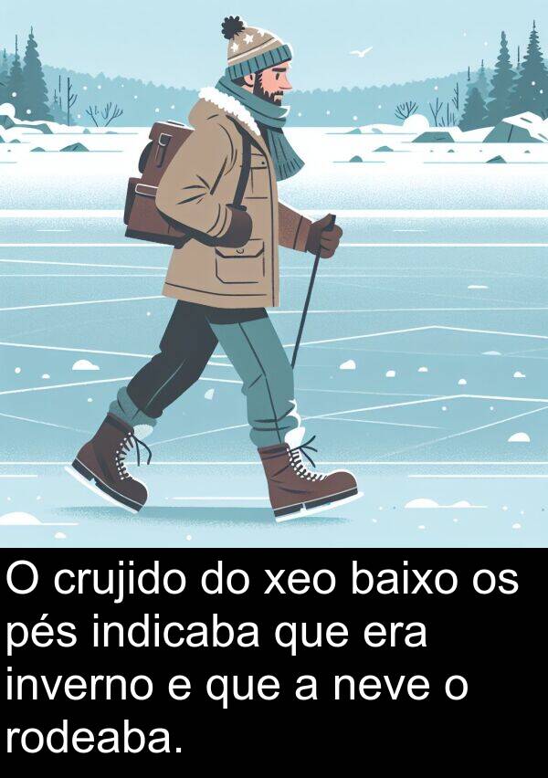 pés: O crujido do xeo baixo os pés indicaba que era inverno e que a neve o rodeaba.