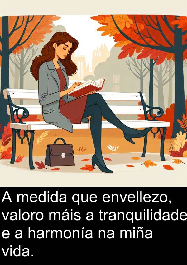 medida: A medida que envellezo, valoro máis a tranquilidade e a harmonía na miña vida.