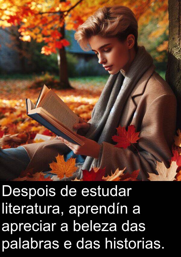 estudar: Despois de estudar literatura, aprendín a apreciar a beleza das palabras e das historias.