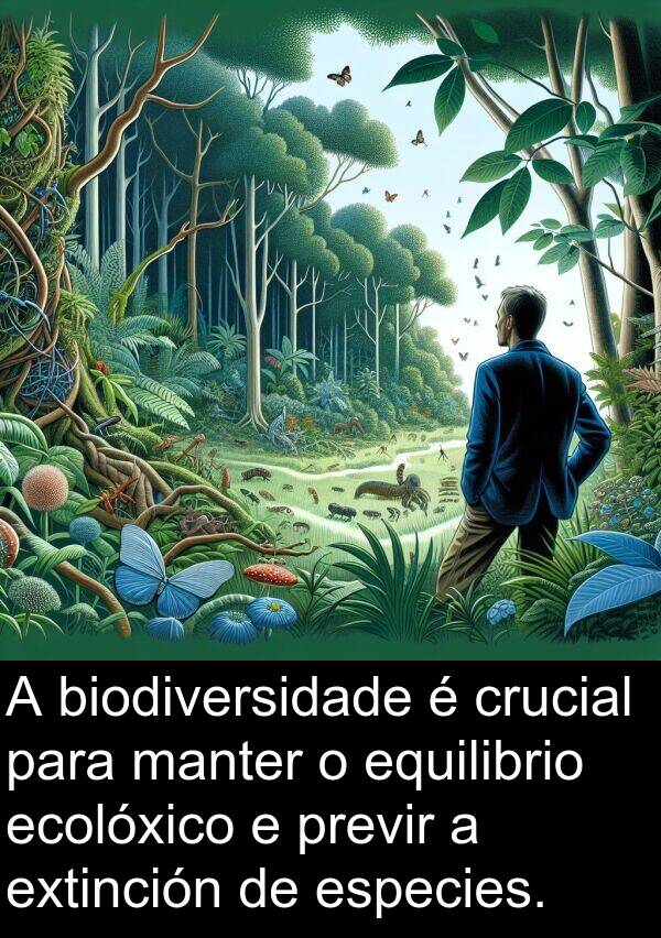 especies: A biodiversidade é crucial para manter o equilibrio ecolóxico e previr a extinción de especies.