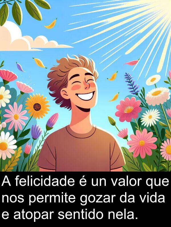 valor: A felicidade é un valor que nos permite gozar da vida e atopar sentido nela.