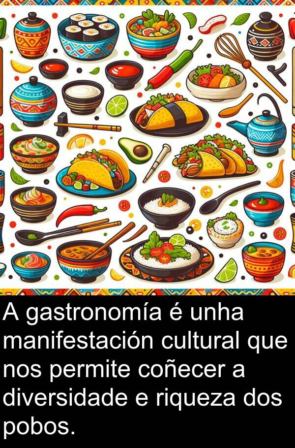 riqueza: A gastronomía é unha manifestación cultural que nos permite coñecer a diversidade e riqueza dos pobos.