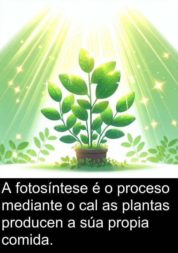 mediante: A fotosíntese é o proceso mediante o cal as plantas producen a súa propia comida.