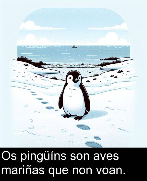 pingüíns: Os pingüíns son aves mariñas que non voan.