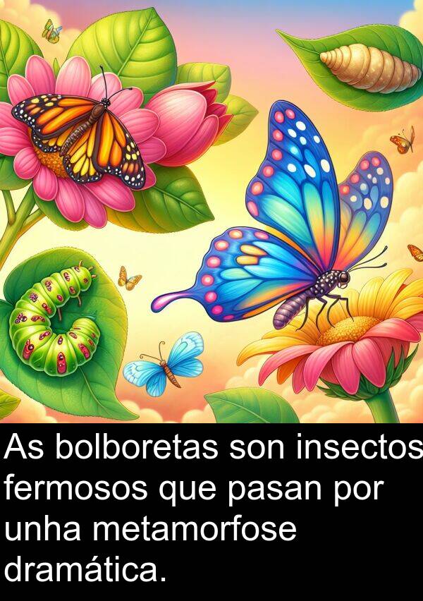 metamorfose: As bolboretas son insectos fermosos que pasan por unha metamorfose dramática.