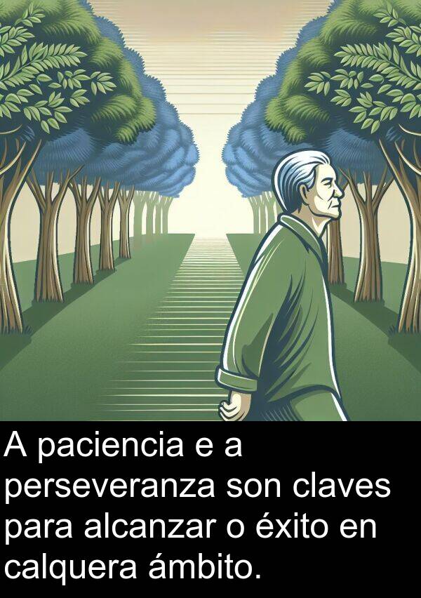 ámbito: A paciencia e a perseveranza son claves para alcanzar o éxito en calquera ámbito.