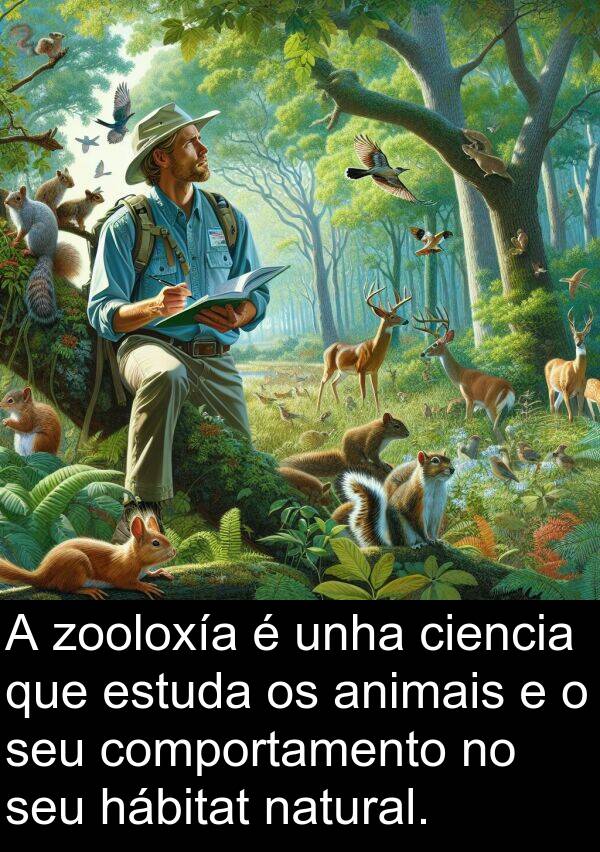 comportamento: A zooloxía é unha ciencia que estuda os animais e o seu comportamento no seu hábitat natural.