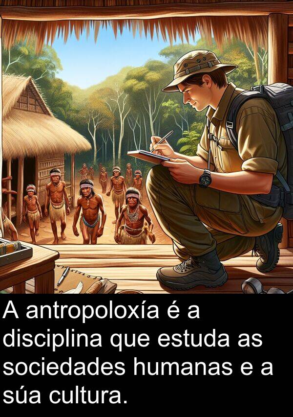 estuda: A antropoloxía é a disciplina que estuda as sociedades humanas e a súa cultura.