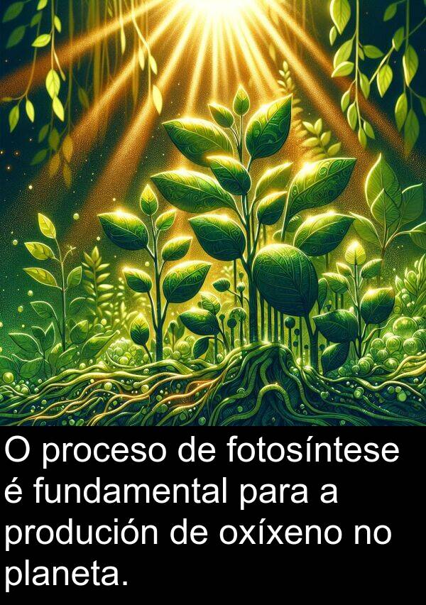 fundamental: O proceso de fotosíntese é fundamental para a produción de oxíxeno no planeta.