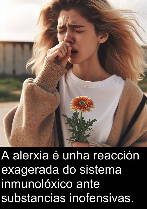 reacción: A alerxia é unha reacción exagerada do sistema inmunolóxico ante substancias inofensivas.