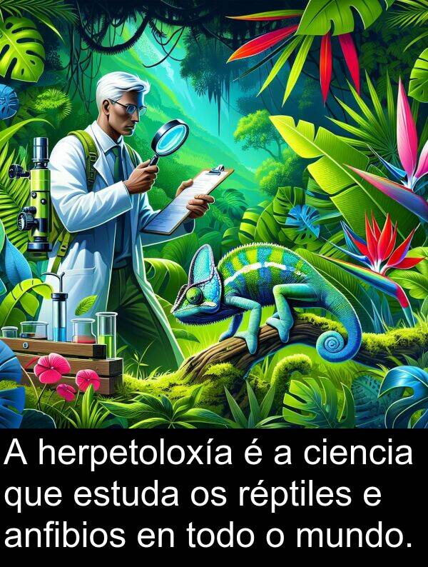 estuda: A herpetoloxía é a ciencia que estuda os réptiles e anfibios en todo o mundo.