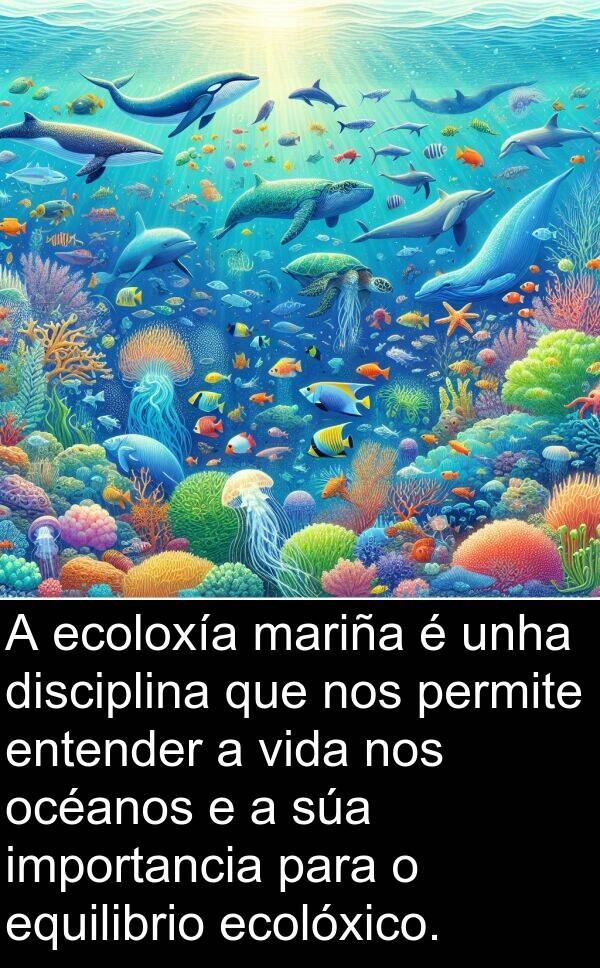 entender: A ecoloxía mariña é unha disciplina que nos permite entender a vida nos océanos e a súa importancia para o equilibrio ecolóxico.
