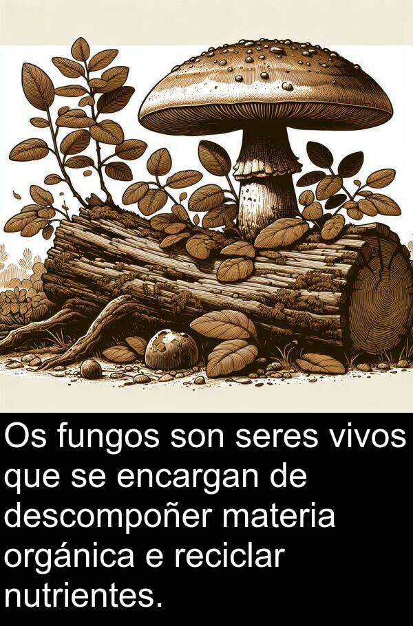 materia: Os fungos son seres vivos que se encargan de descompoñer materia orgánica e reciclar nutrientes.