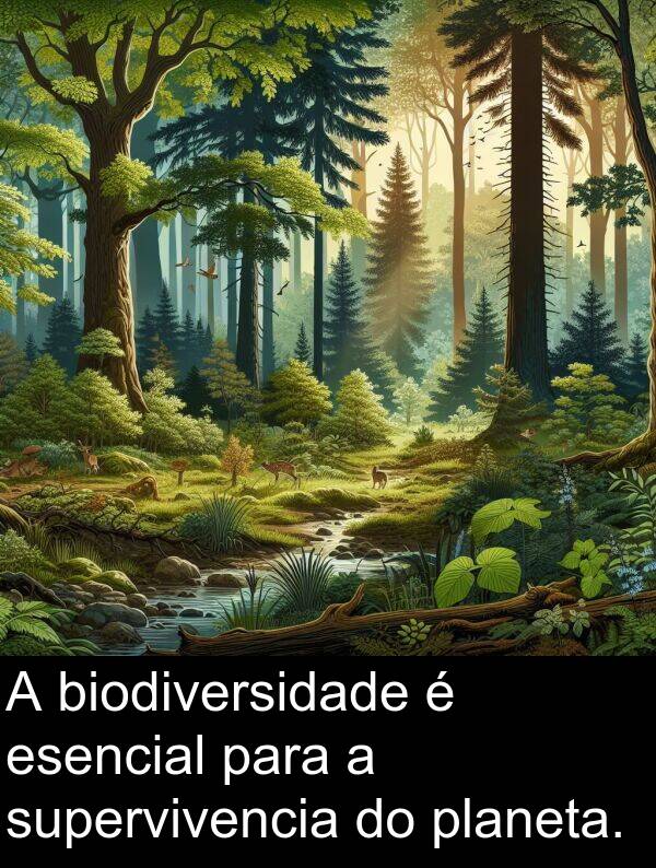 supervivencia: A biodiversidade é esencial para a supervivencia do planeta.