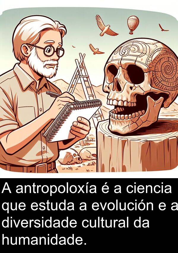 diversidade: A antropoloxía é a ciencia que estuda a evolución e a diversidade cultural da humanidade.