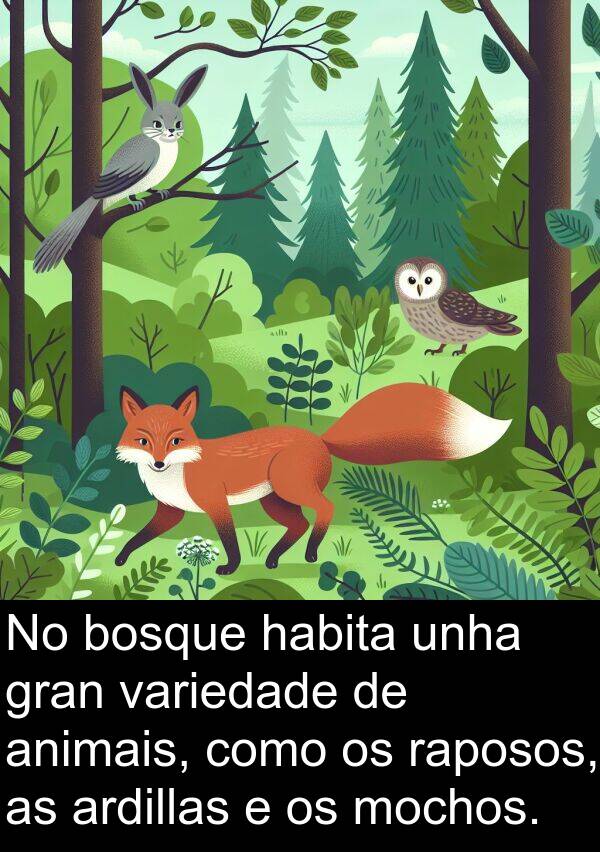 raposos: No bosque habita unha gran variedade de animais, como os raposos, as ardillas e os mochos.