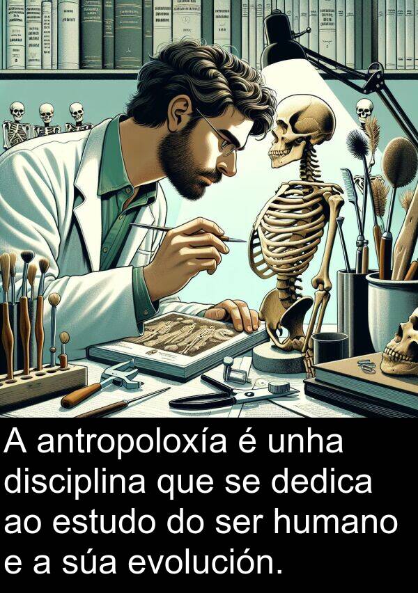 estudo: A antropoloxía é unha disciplina que se dedica ao estudo do ser humano e a súa evolución.