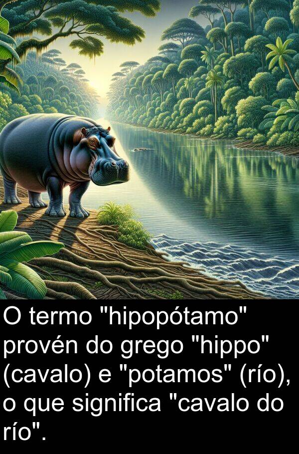 río: O termo "hipopótamo" provén do grego "hippo" (cavalo) e "potamos" (río), o que significa "cavalo do río".