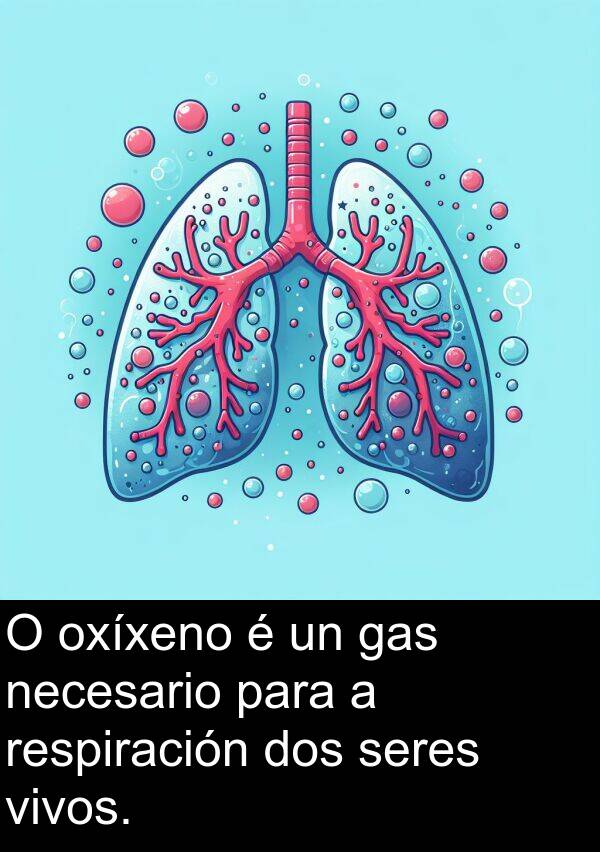 respiración: O oxíxeno é un gas necesario para a respiración dos seres vivos.