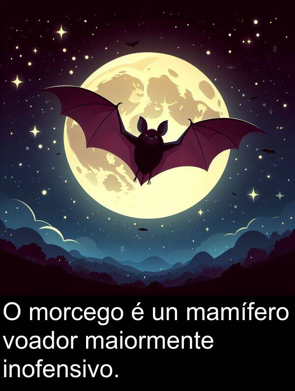morcego: O morcego é un mamífero voador maiormente inofensivo.