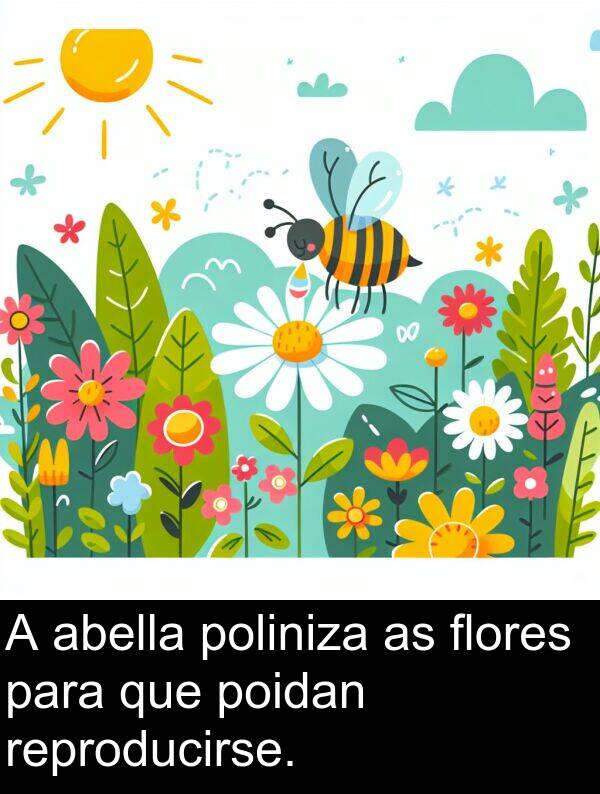reproducirse: A abella poliniza as flores para que poidan reproducirse.