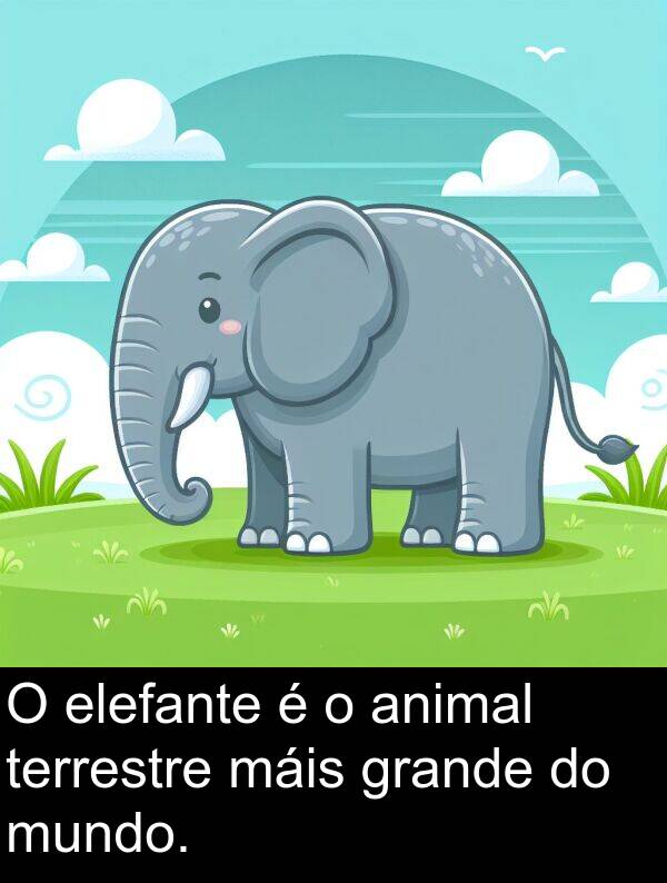 terrestre: O elefante é o animal terrestre máis grande do mundo.