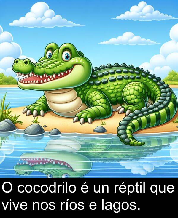 ríos: O cocodrilo é un réptil que vive nos ríos e lagos.