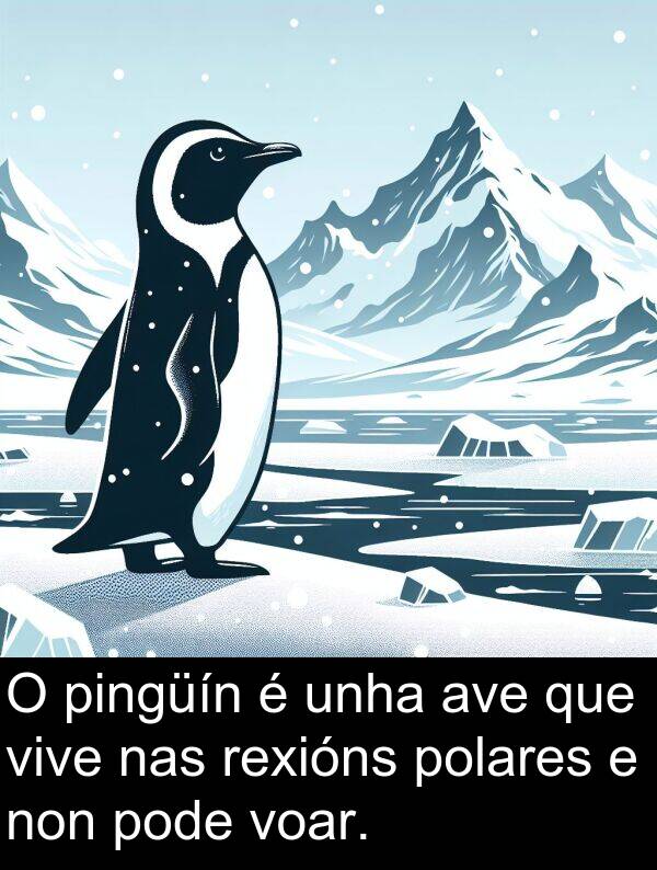 pingüín: O pingüín é unha ave que vive nas rexións polares e non pode voar.