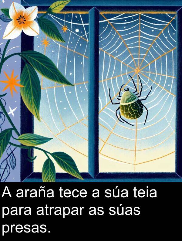 araña: A araña tece a súa teia para atrapar as súas presas.
