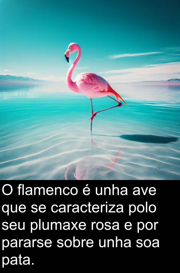 rosa: O flamenco é unha ave que se caracteriza polo seu plumaxe rosa e por pararse sobre unha soa pata.