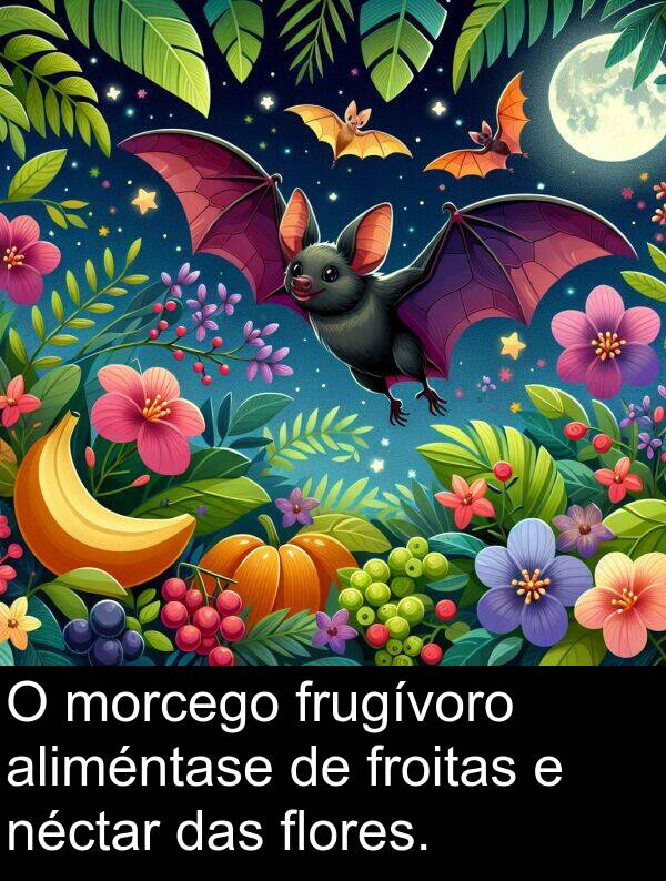 frugívoro: O morcego frugívoro aliméntase de froitas e néctar das flores.