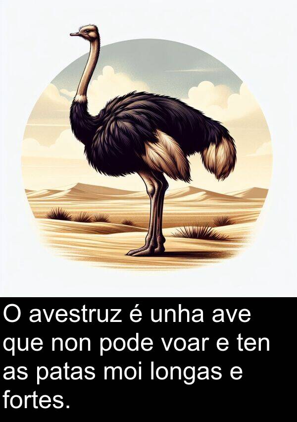 fortes: O avestruz é unha ave que non pode voar e ten as patas moi longas e fortes.