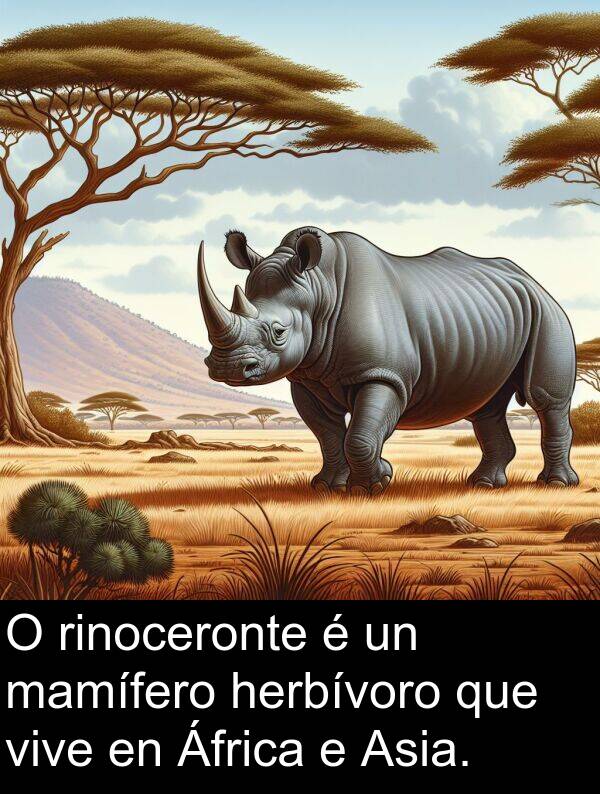 rinoceronte: O rinoceronte é un mamífero herbívoro que vive en África e Asia.