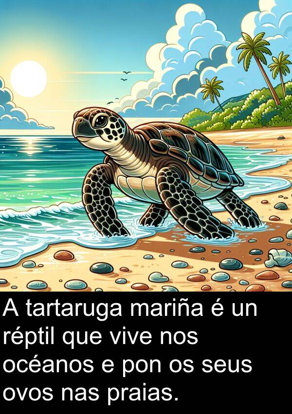 réptil: A tartaruga mariña é un réptil que vive nos océanos e pon os seus ovos nas praias.