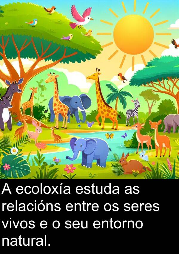 relacións: A ecoloxía estuda as relacións entre os seres vivos e o seu entorno natural.