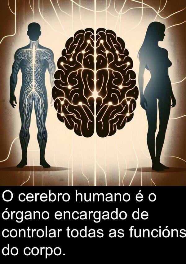 controlar: O cerebro humano é o órgano encargado de controlar todas as funcións do corpo.