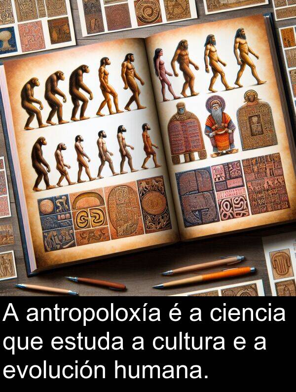 estuda: A antropoloxía é a ciencia que estuda a cultura e a evolución humana.
